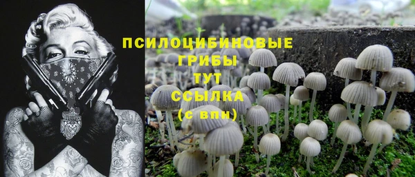 тгк Балабаново