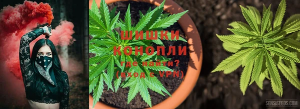 тгк Балабаново