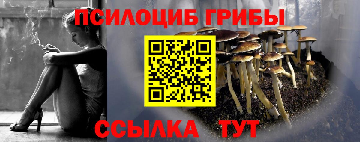 Усть-Джегута  Псилоцибиновые грибы мухоморы  Вход с VPN  Галлюциногенные грибы Cubensis 